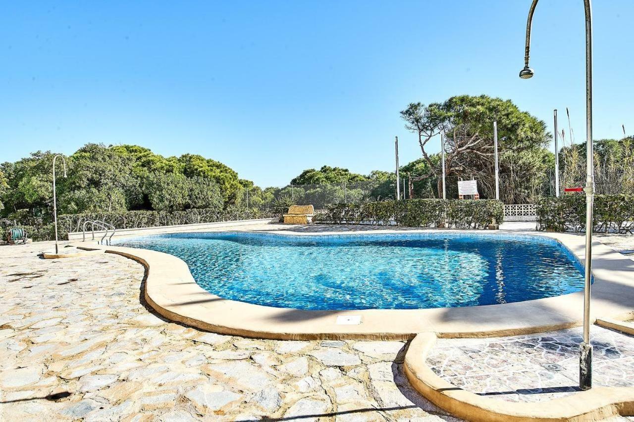 Holiday Apartments La Mata La Mata  Dış mekan fotoğraf